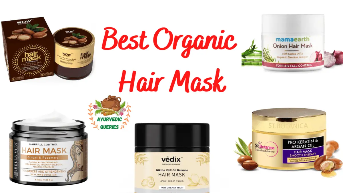 Best Organic Hair Mask for Dry and Frizzy Hair Ayurvedic Queries